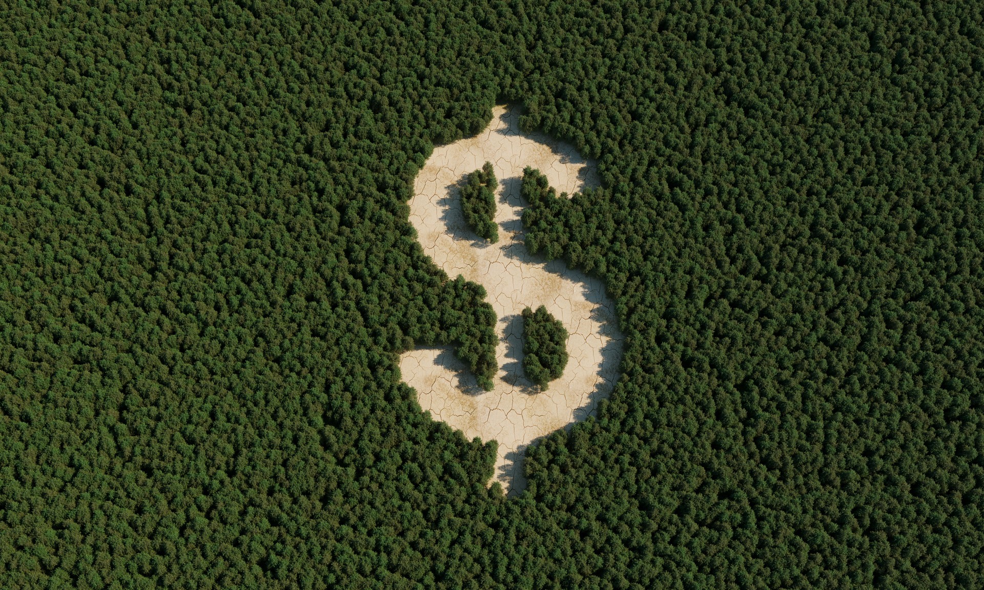 Environmental Damage With Dollar Sign